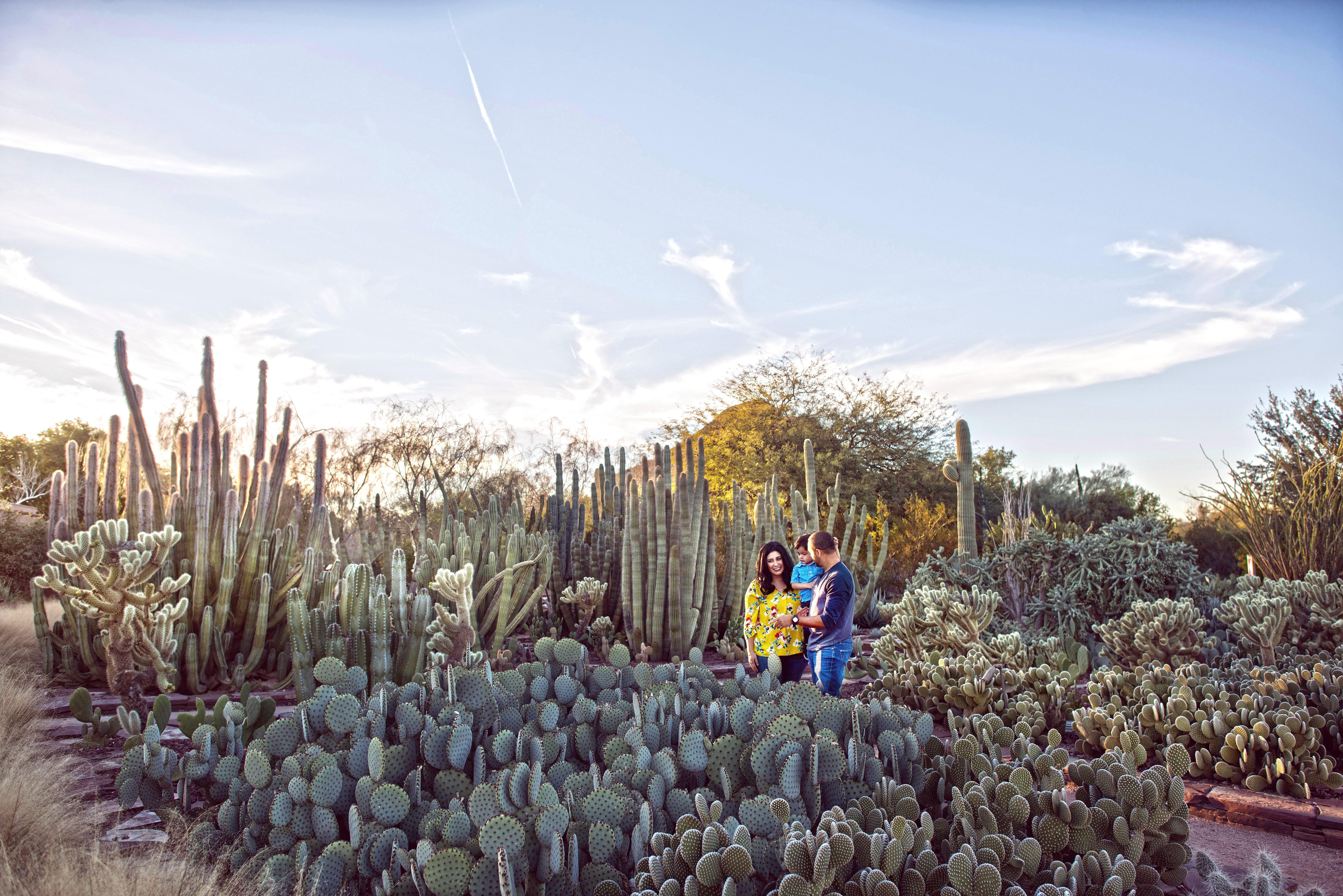 Holiday Inn Express & Suites - Phoenix - Airport North By Ihg Exterior foto